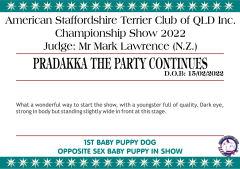 1. PRADAKKA THE PARTY CONTINUES.png